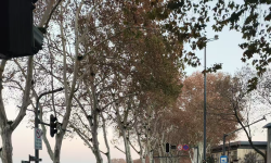 Featured image of post Lueur dhiver dorée